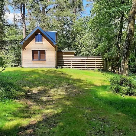Vrijstaand In Het Bos Met Prive Sauna * Beekbergen