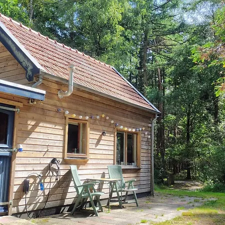Vrijstaand In Het Bos Met Prive Sauna Beekbergen