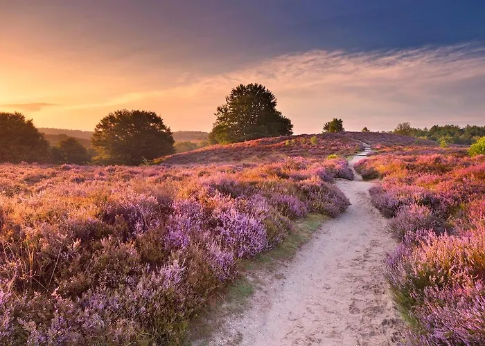 Vakantiehuis Bosrust Op De Veluwe *
