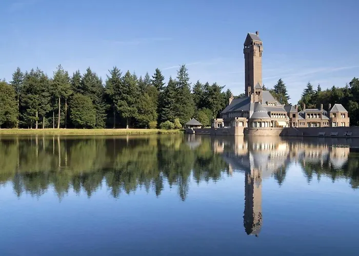 Bosrust Op De Veluwe Beekbergen