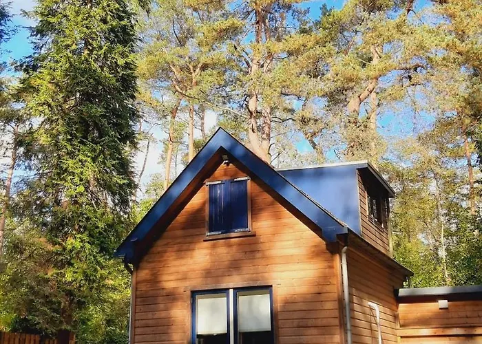 Bosrust Op De Veluwe