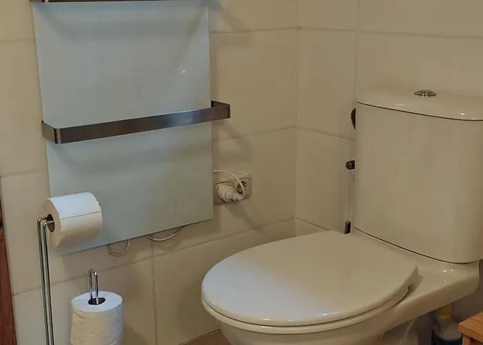 Bosrust Op De Veluwe Beekbergen