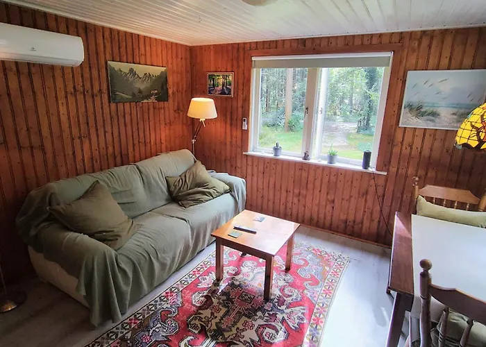 Bosrust Op De Veluwe Beekbergen