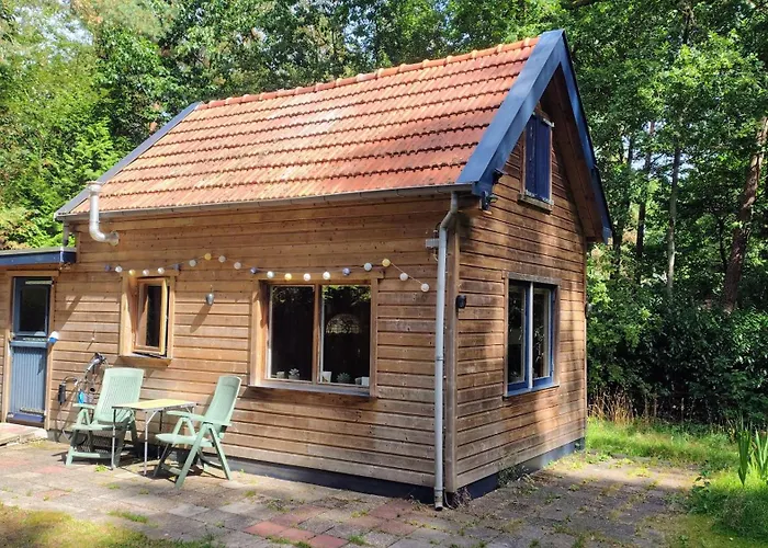 Bosrust Op De Veluwe *