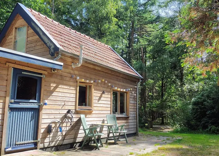 Bosrust Op De Veluwe Beekbergen