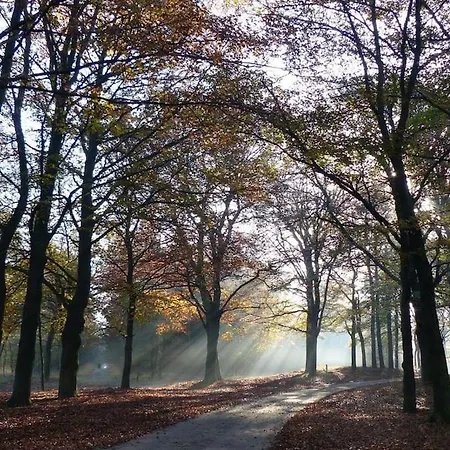 Vrijstaand In Het Bos Met Prive Sauna * Beekbergen