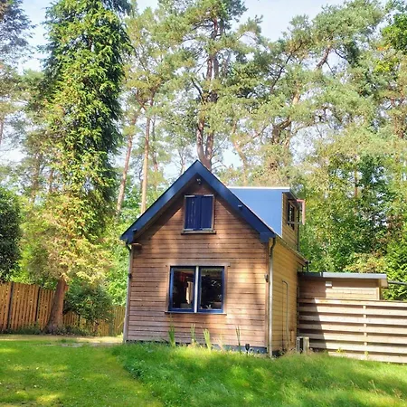 Vrijstaand In Het Bos Met Prive Sauna * Beekbergen