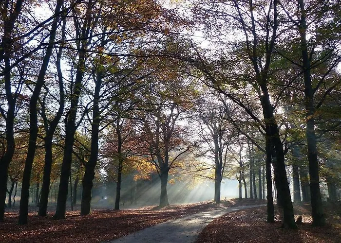 Vrijstaand In Het Bos Met Prive Sauna * Beekbergen