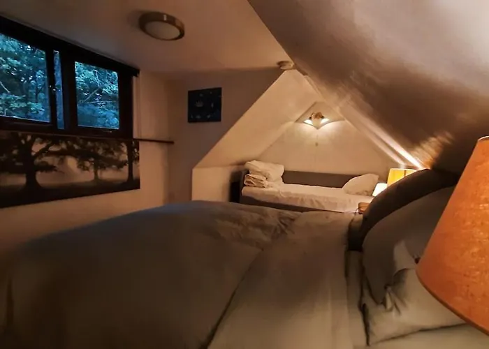 Semesterbostad Vrijstaand In Het Bos Met Prive Sauna Beekbergen