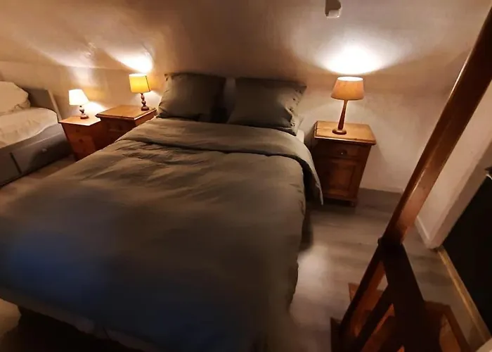 Vrijstaand In Het Bos Met Prive Sauna *