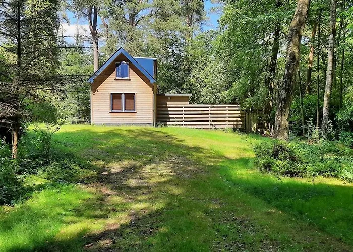 Vrijstaand In Het Bos Met Prive Sauna * Beekbergen