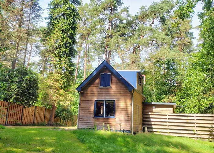Vrijstaand In Het Bos Met Prive Sauna * Beekbergen